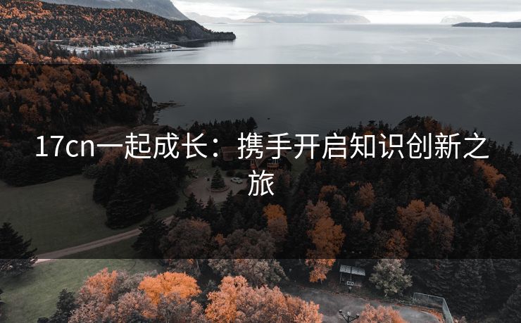 17cn一起成长：携手开启知识创新之旅