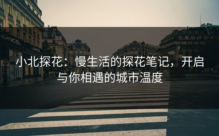 小北探花：慢生活的探花笔记，开启与你相遇的城市温度