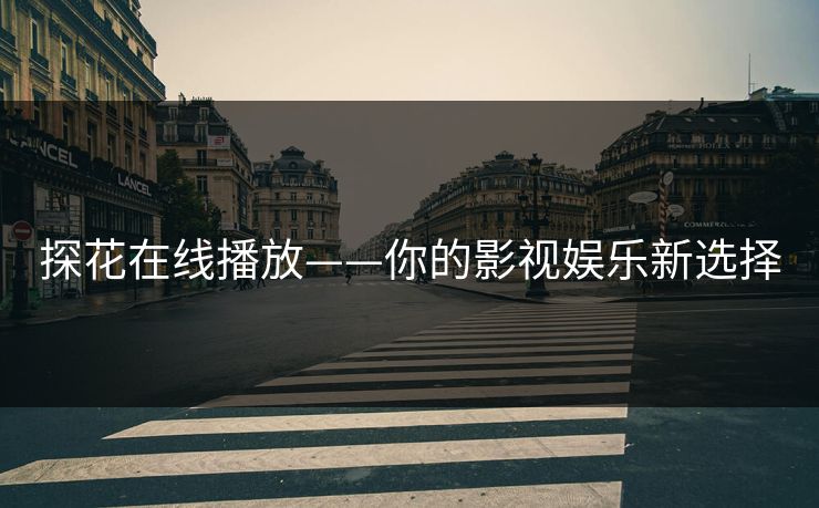 探花在线播放——你的影视娱乐新选择