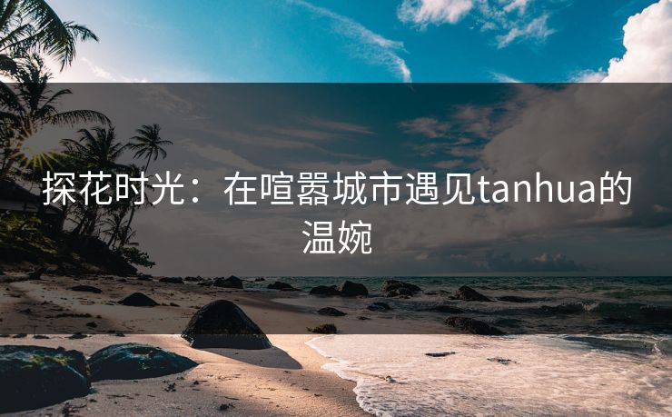 探花时光：在喧嚣城市遇见tanhua的温婉