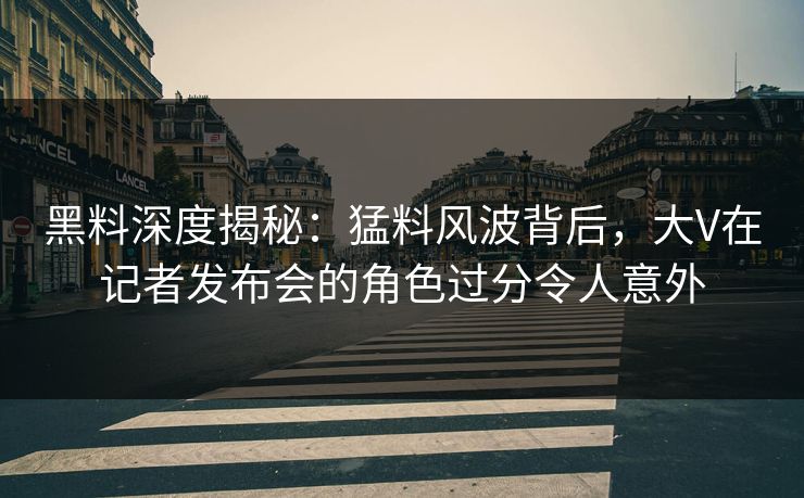黑料深度揭秘：猛料风波背后，大V在记者发布会的角色过分令人意外
