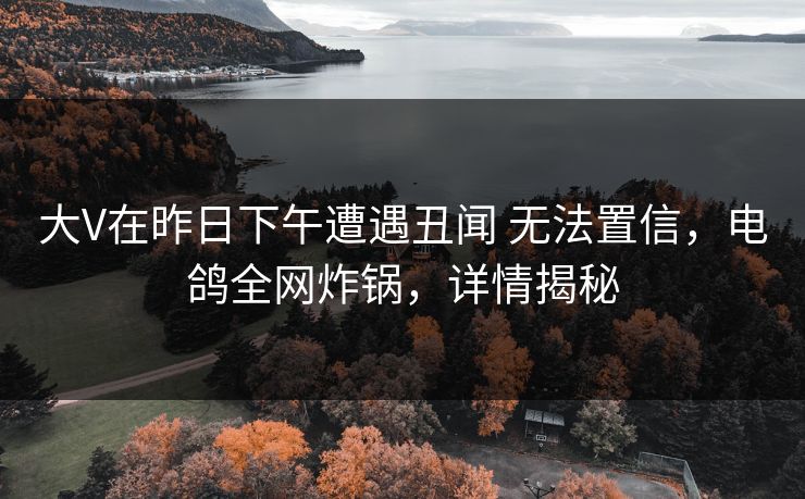 大V在昨日下午遭遇丑闻 无法置信,电鸽全网炸锅,详情揭秘 大V在昨日下午遭遇丑闻 无法置信,电鸽全网炸锅,详情揭秘
