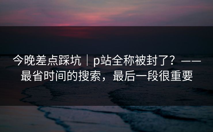 今晚差点踩坑｜p站全称被封了？——最省时间的搜索，最后一段很重要